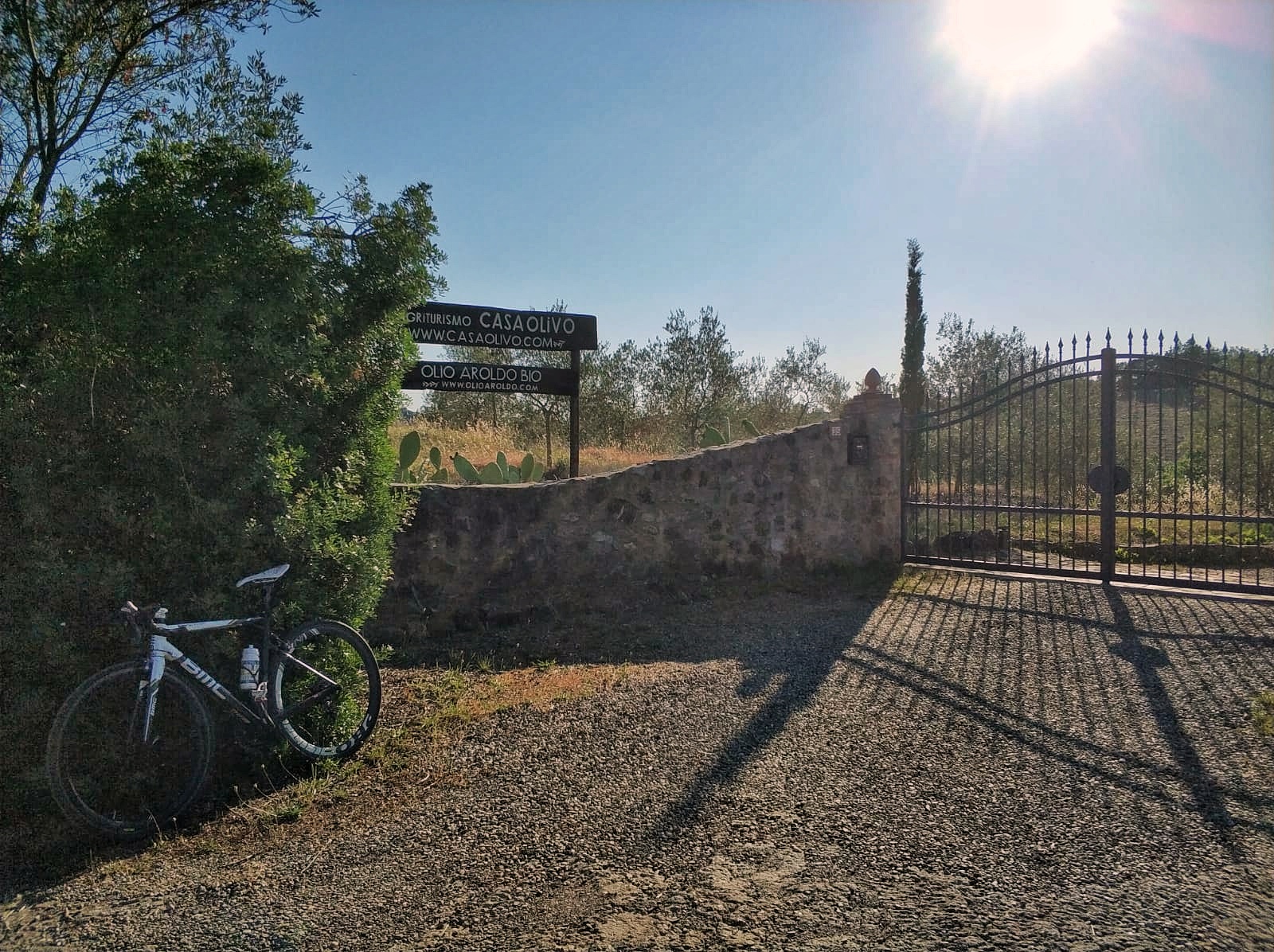 In Maremma in bicicletta partendo da Casa Olivo