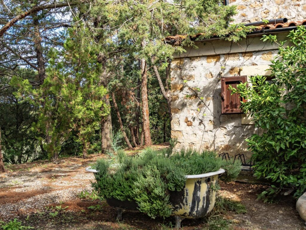 Casale Le Tuie di Casa Olivo Agriturismo Maremma Toscana