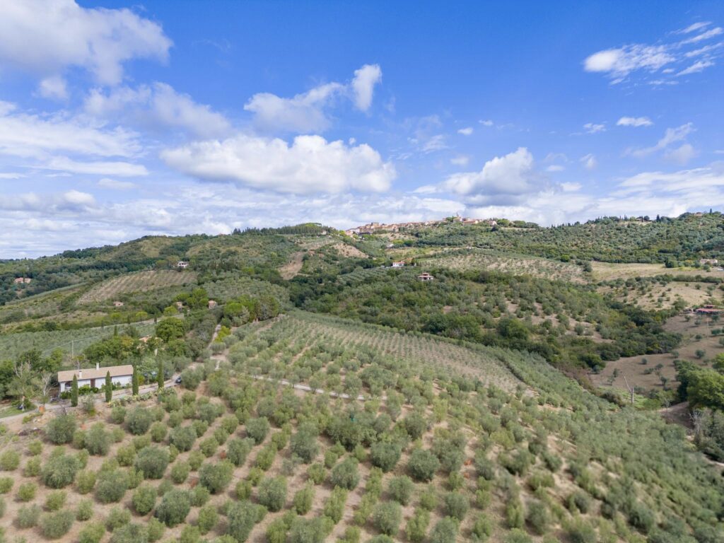 Vista di Casa Olivo Agriturismo Maremma Toscana